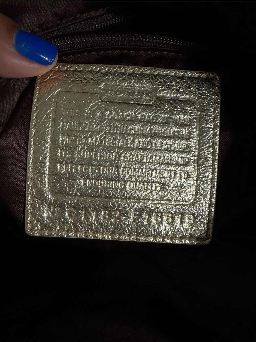 Coach Brooke Hobo F16619 Purse Rare READ